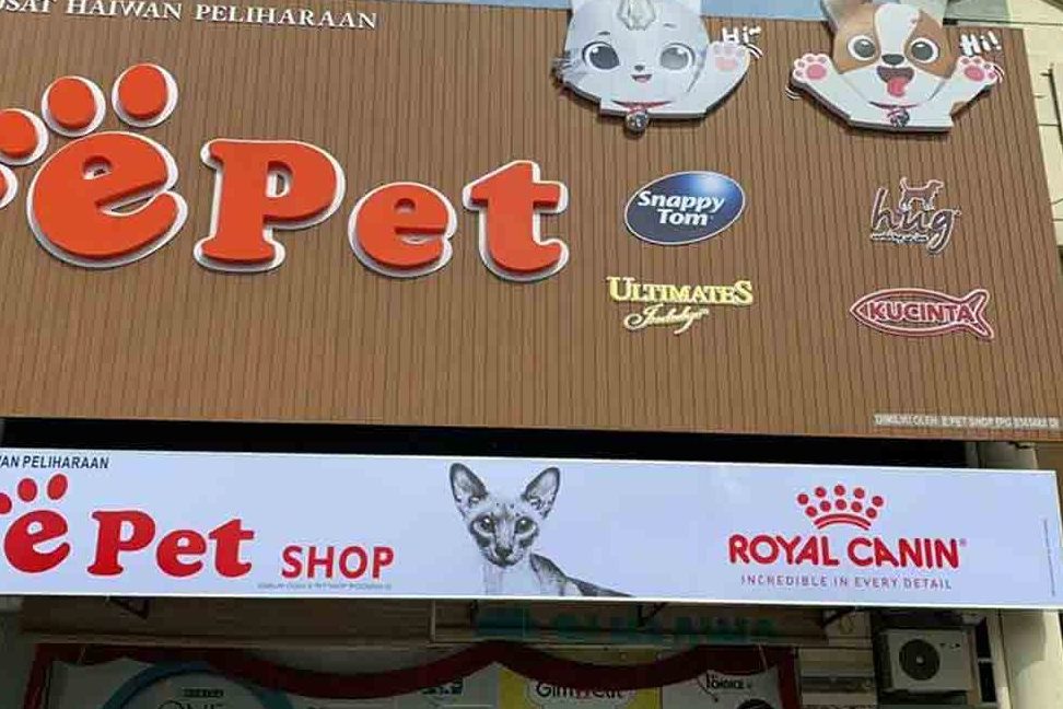 Kedai Aquarium terbaik di Bukit Mertajam 1 kedai aquarium terbaik di bukit mertajam 1