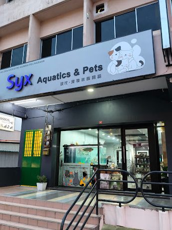 Kedai Aquarium terbaik di Buloh Kasap 1 kedai aquarium terbaik di buloh kasap