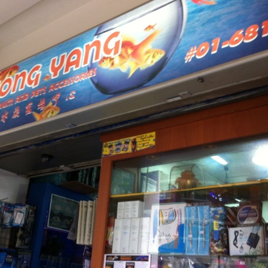 Kedai Aquarium terbaik di Daerah Batu Pahat 1 kedai aquarium terbaik di daerah batu pahat