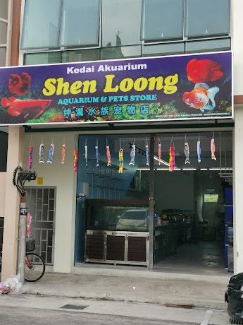 Kedai Aquarium terbaik di Daerah Kota Tinggi 1 kedai aquarium terbaik di daerah kota tinggi 1