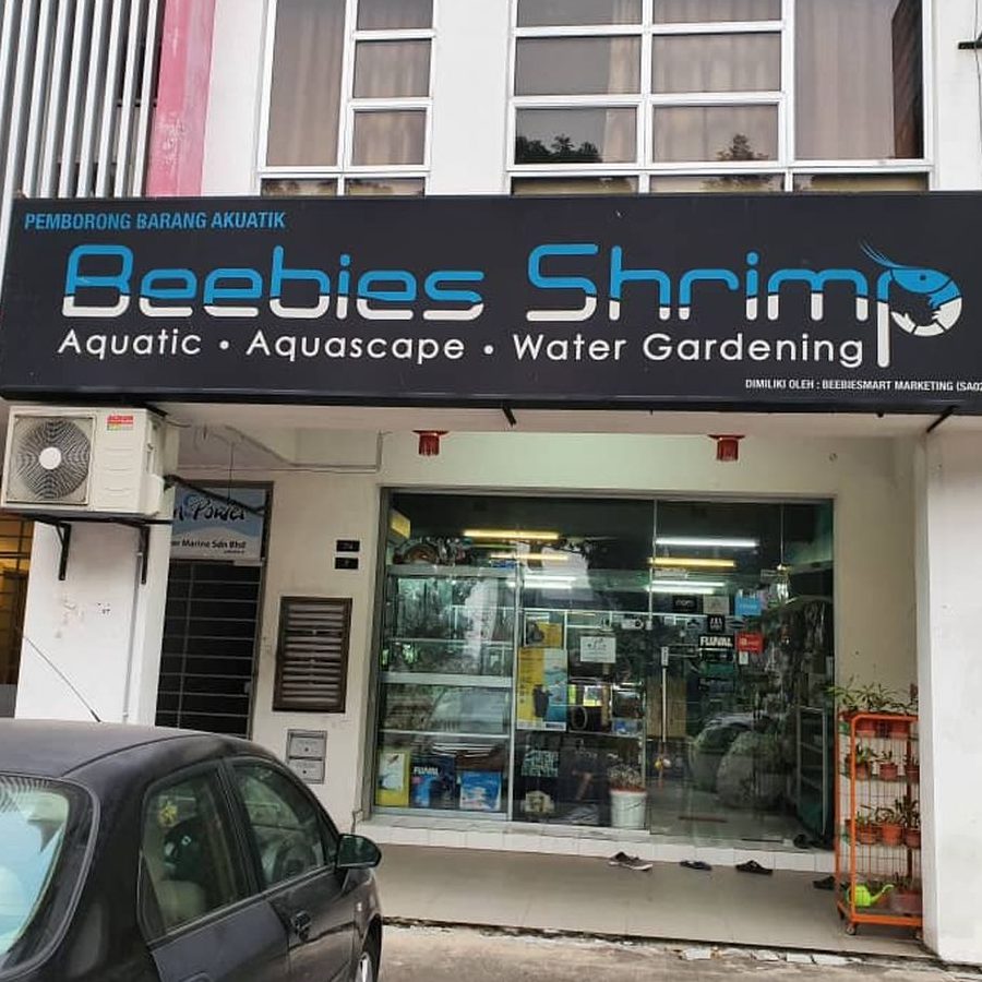 kedai aquarium terbaik di kampong masjid tanah 1