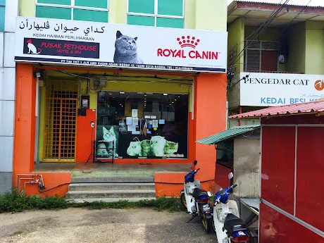 Kedai Aquarium terbaik di Kampong Pangkal Kalong 1 kedai aquarium terbaik di kampong pangkal kalong