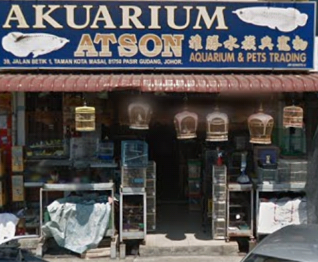 Kedai Aquarium Terbaik di Kampung Pasir Gudang Baru 1 kedai aquarium terbaik di kampung pasir gudang baru
