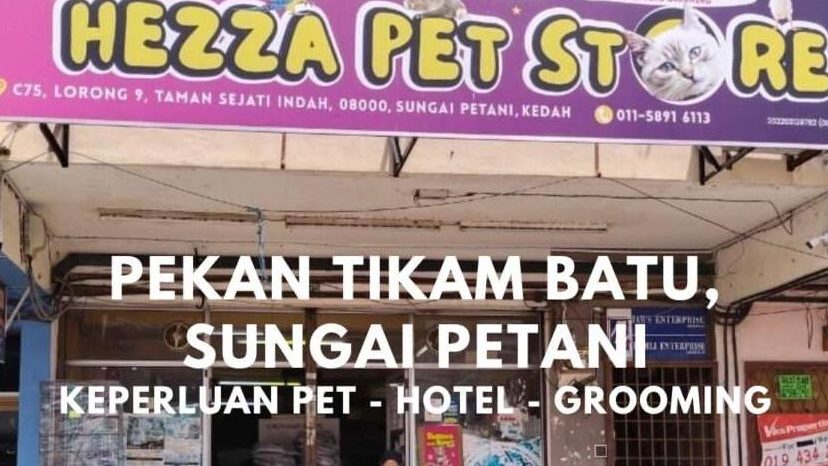 Kedai Aquarium Terbaik di Kelapa Sawit 1 kedai aquarium terbaik di kelapa sawit