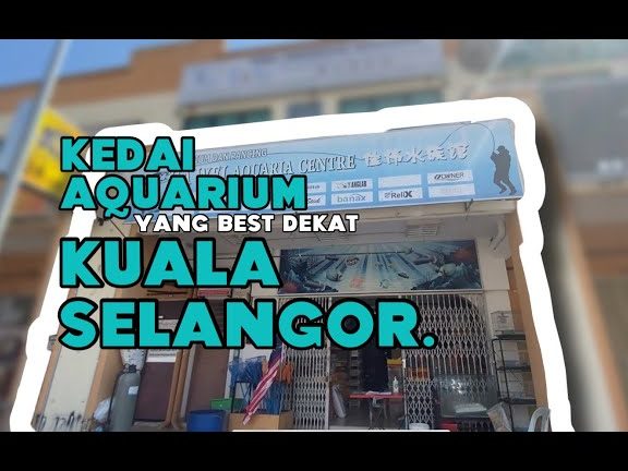 Kedai Aquarium Terbaik di Kepala Batas 1 kedai aquarium terbaik di kepala batas