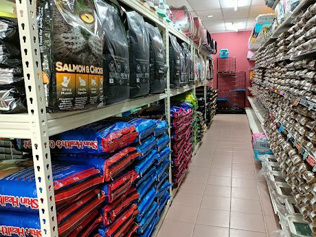 Kedai Aquarium Terbaik di Kuah 1 kedai aquarium terbaik di kuah