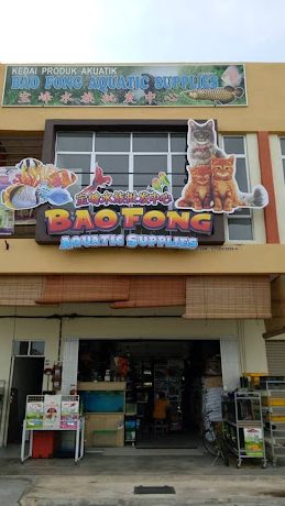 Kedai Aquarium terbaik di Kuala Sungai Baru 1 kedai aquarium terbaik di kuala sungai baru 1