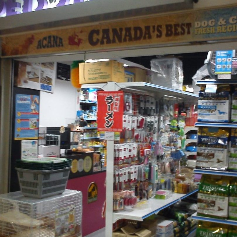 Kedai Aquarium Terbaik di Pontian Kechil 1 kedai aquarium terbaik di pontian kechil