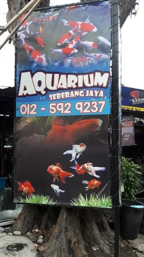 Kedai Aquarium terbaik di Pulau Sebang 1 kedai aquarium terbaik di pulau sebang 1