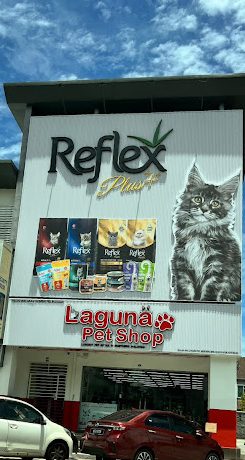 Kedai Aquarium terbaik di Sungai Petani 1 kedai aquarium terbaik di sungai petani