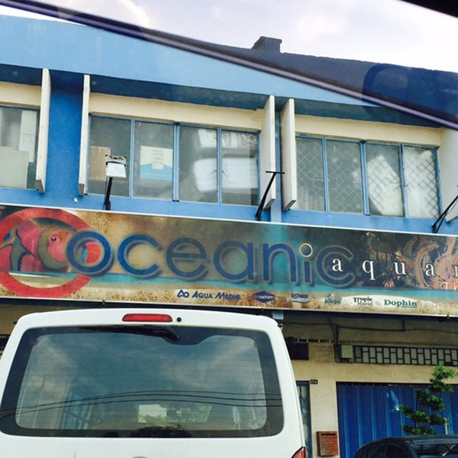 kedai aquarium terbaik di tanah rata 1