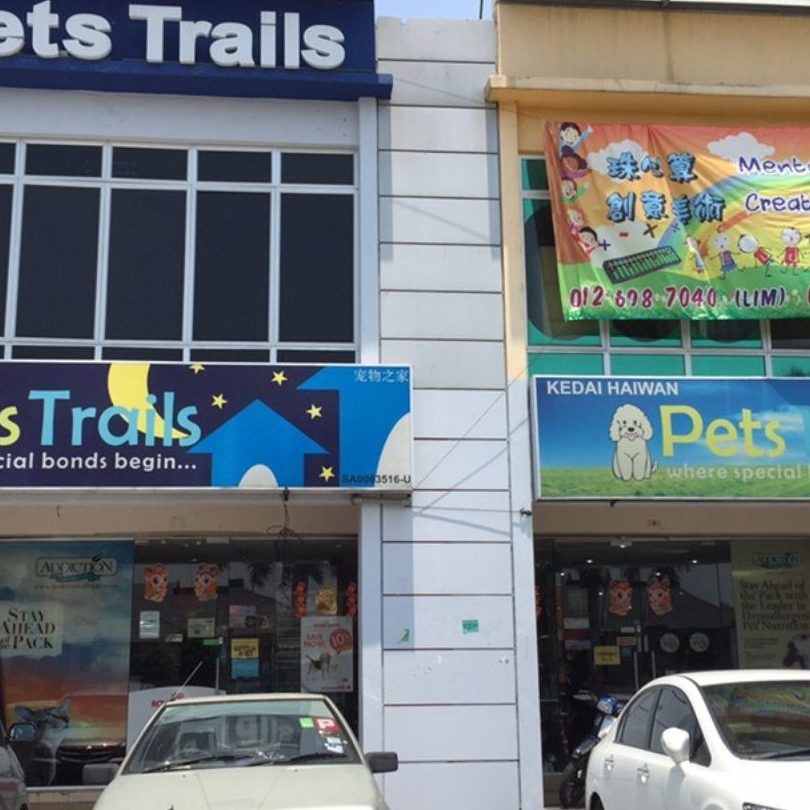 kedai aquarium terbaik di tanjung tokong