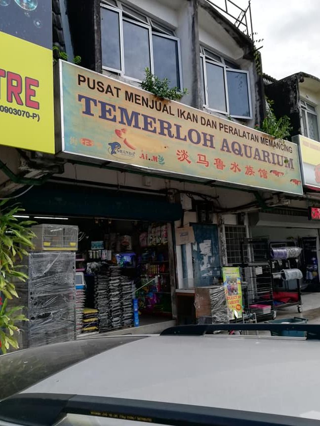 Kedai Aquarium Terbaik di Temerluh 1 kedai aquarium terbaik di temerluh 1