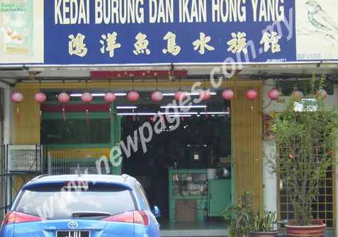 Kedai Burung & Ikan Hong Yang 1 kedai burung ikan hong yang