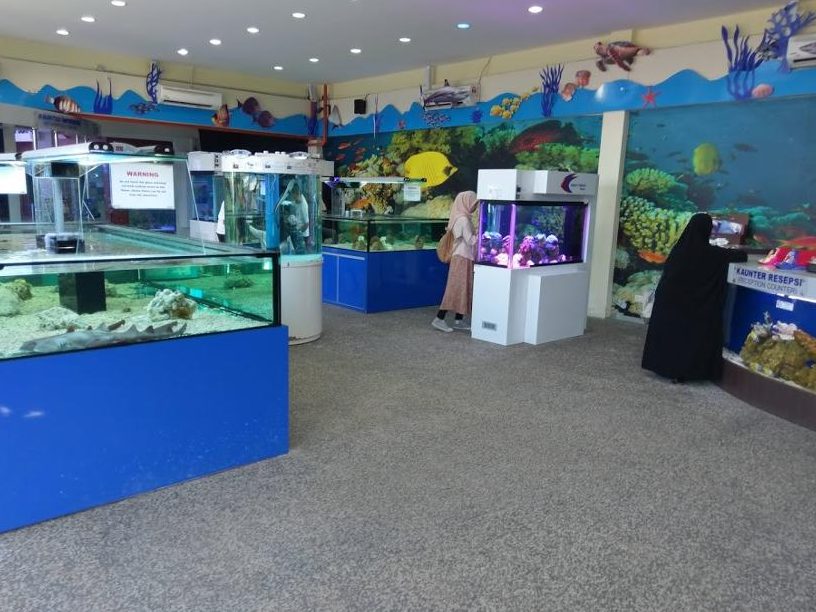 Kedai Ikan Hiasan The Little Ocean Aquarium 1 kedai ikan hiasan the little ocean aquarium