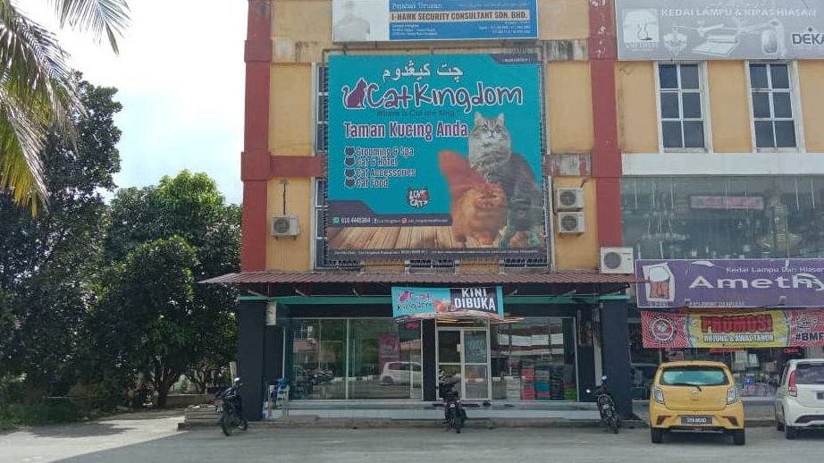 kedai kucing animal kingdom