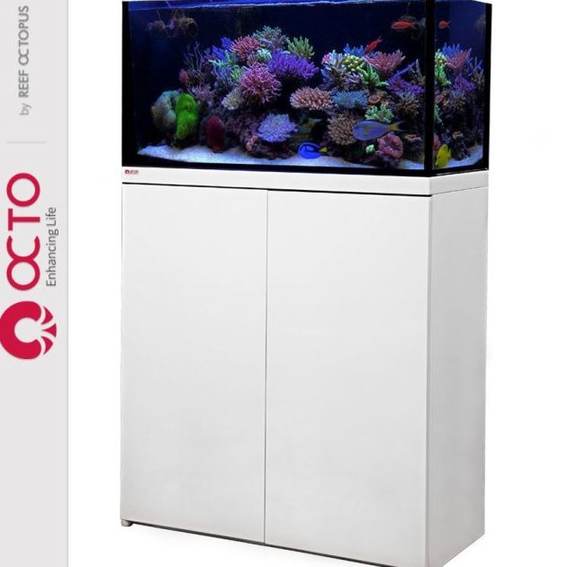 KLG TS AQUARIUM 1 klg ts aquarium