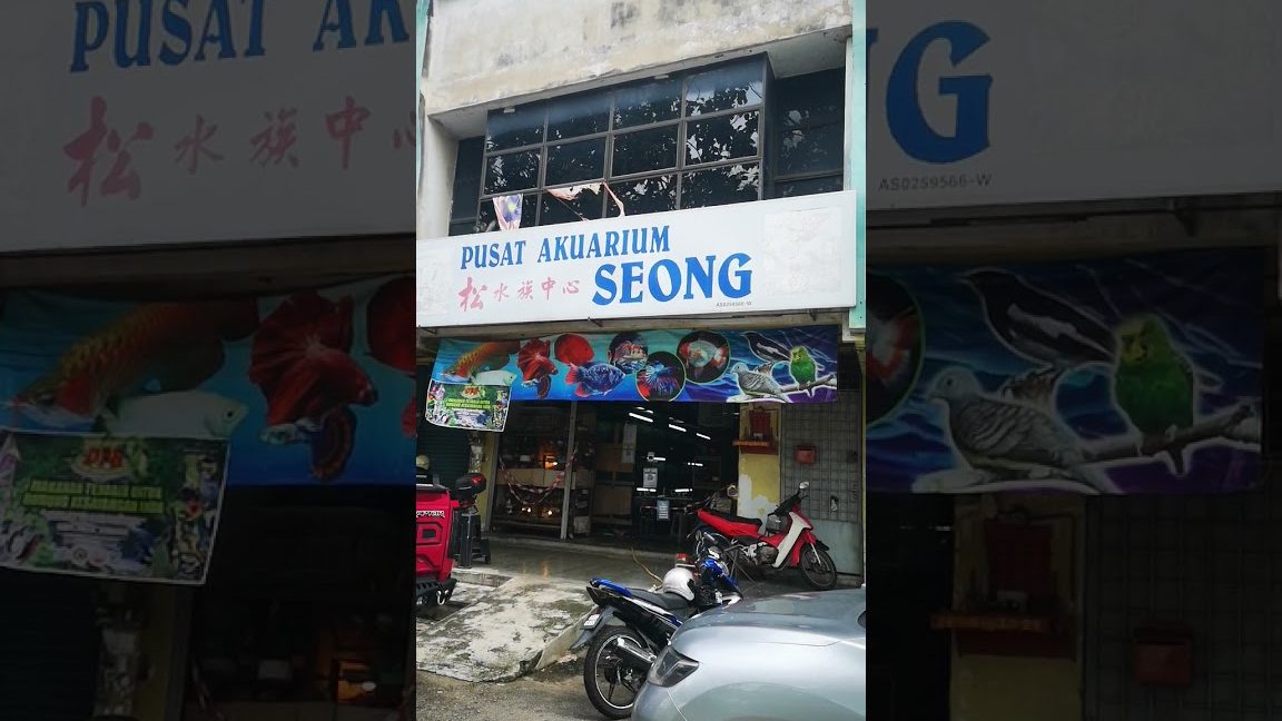 Las kedai akuarium terbaik di Bedong 1 las kedai akuarium terbaik di bedong