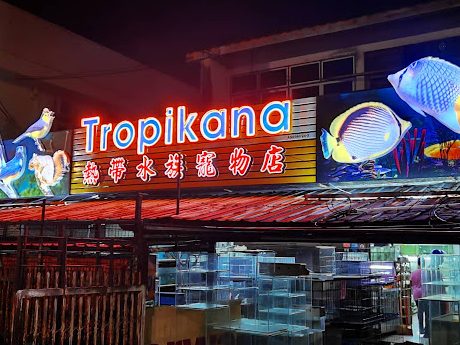 Las kedai aquarium terbaik di Alor Setar 1 las kedai aquarium terbaik di alor setar
