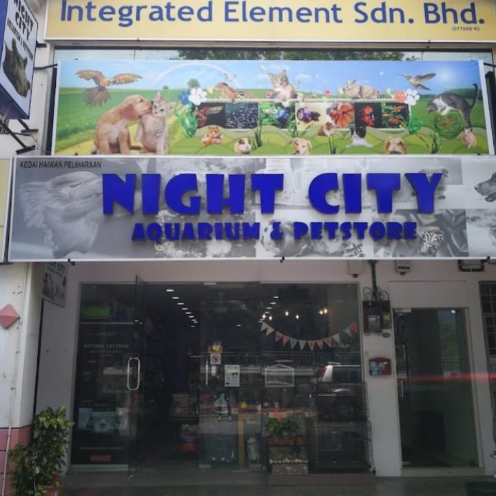 Las kedai aquarium terbaik di George Town 1 las kedai aquarium terbaik di george town 1