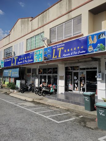 Las kedai aquarium terbaik di Jitra 1 las kedai aquarium terbaik di jitra