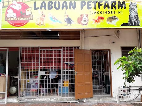Las kedai aquarium terbaik di Labuan 1 las kedai aquarium terbaik di labuan
