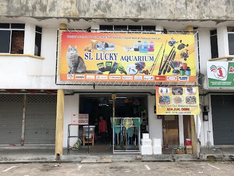 Las terbaik Kedai Aquarium di Bagan Serai 1 las terbaik kedai aquarium di bagan serai