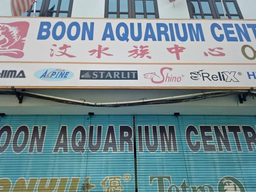 Las terbaik Kedai Aquarium di Gurun 1 las terbaik kedai aquarium di gurun