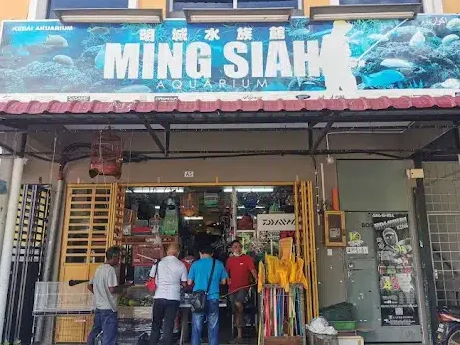 Las terbaik Kedai Aquarium di Kuantan 1 las terbaik kedai aquarium di kuantan 1