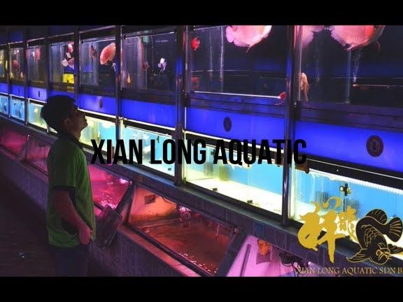 Long Yuan Aquarium Sdn. Bhd. 1 long yuan aquarium sdn bhd