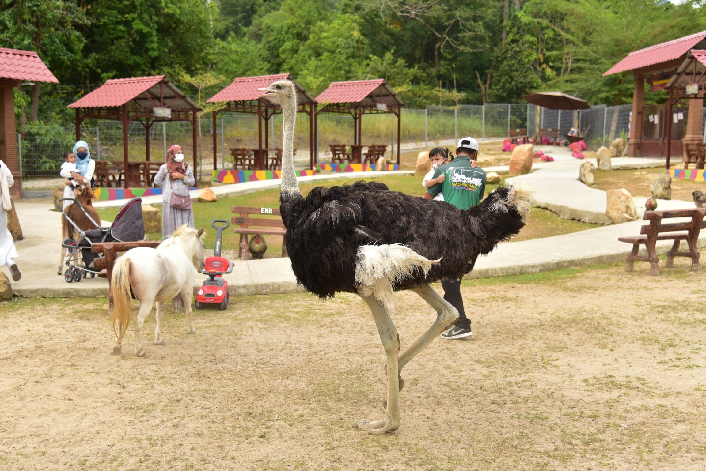 Machinchang PetLand Langkawi By ENR 1 machinchang petland langkawi by enr