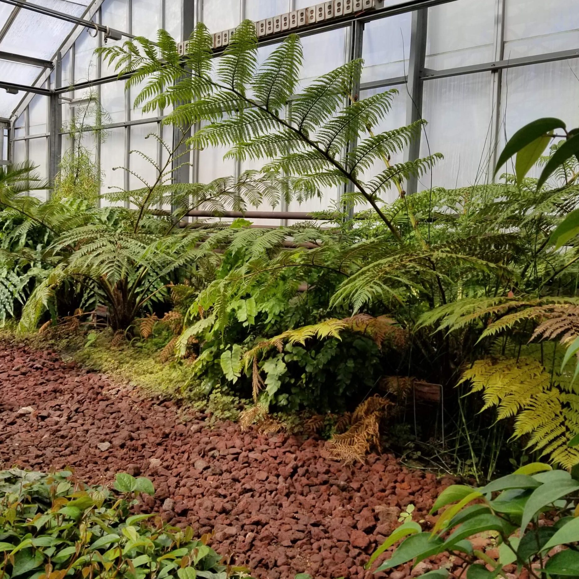 mixscape by plantscience