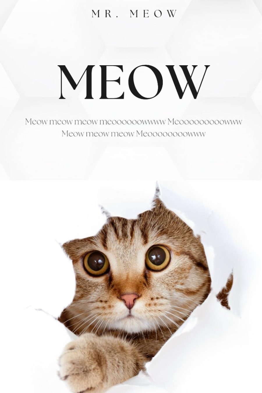 MR MIAW PET STORE 1 mr miaw pet store