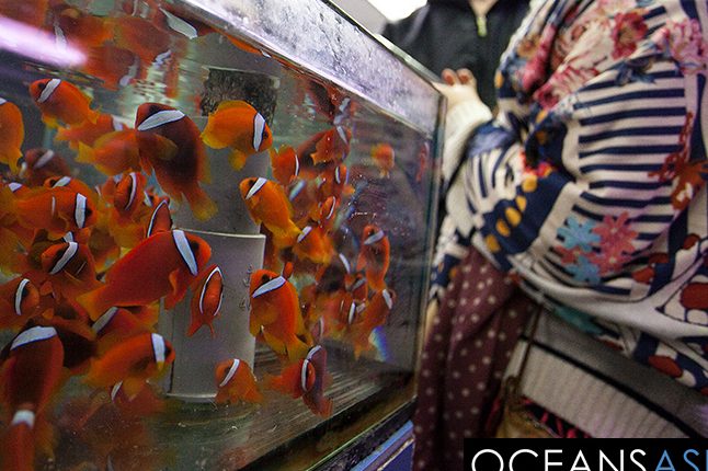 My Aquarium Trading 1 my aquarium trading