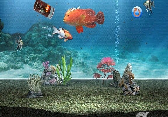 My Aquarium 1 my aquarium