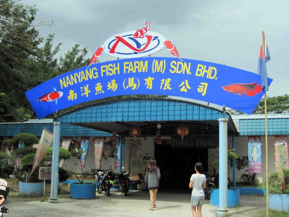 NanYang Fish Farm (M) Sdn. Bhd. 1 nanyang fish farm m sdn bhd