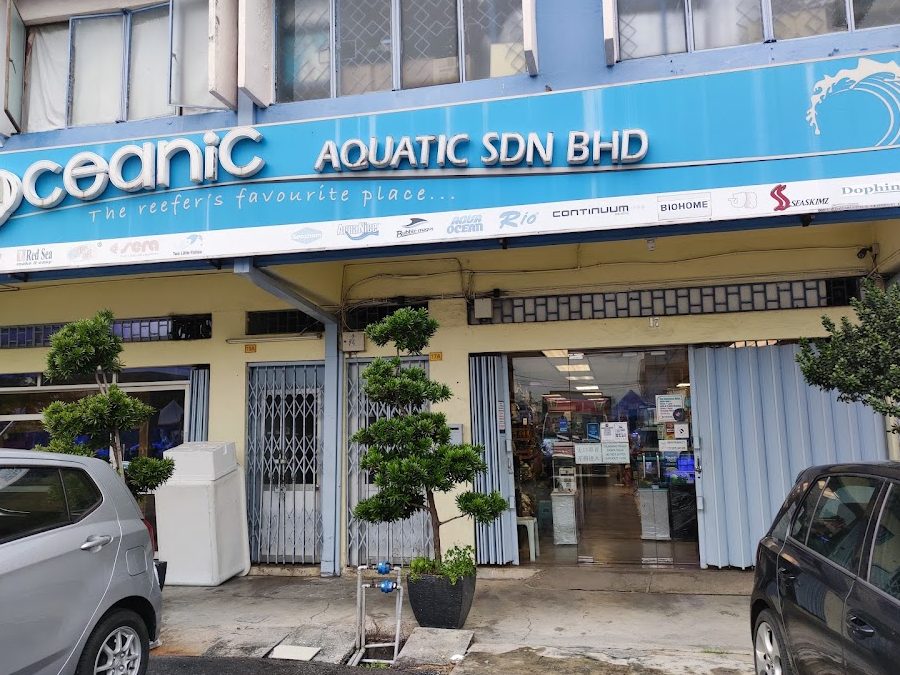 Nusasentral aquarium 1 nusasentral aquarium