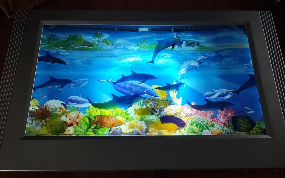 OceanReef Aquarium Trading 1 oceanreef aquarium trading