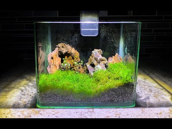 one aquascape