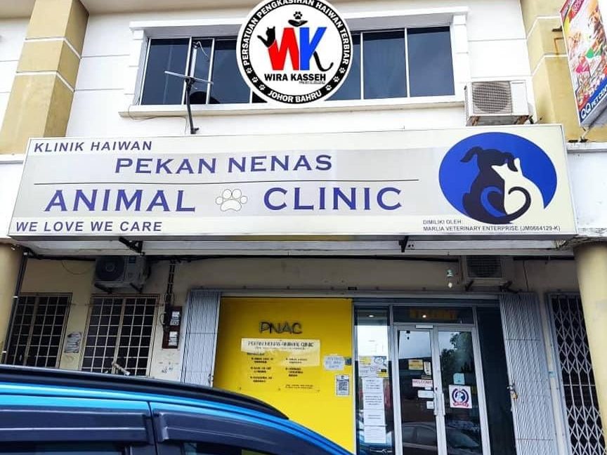 Pekan Nanas Animal Clinic 1 pekan nanas animal clinic