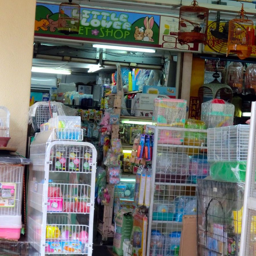 PET OUTLET @ SIMPANG RENGGAM 1 pet outlet simpang renggam
