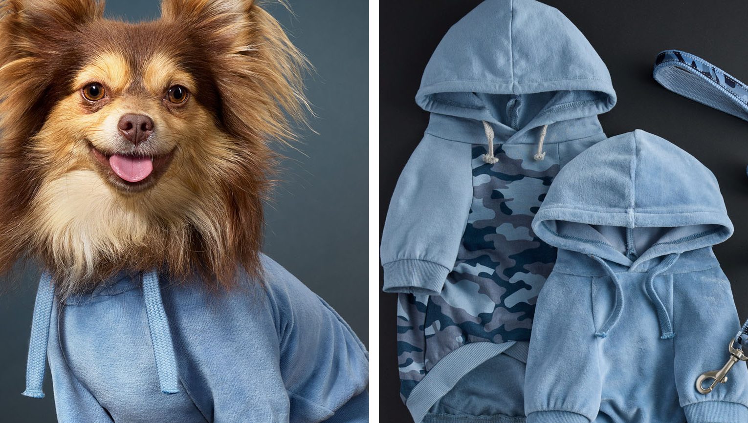 Pet Passion 1 pet passion