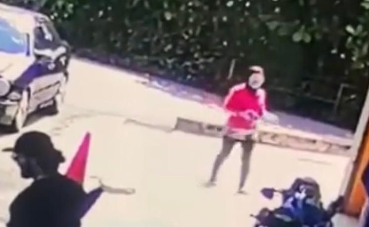 Pets Mart Kluang 1 pets mart kluang