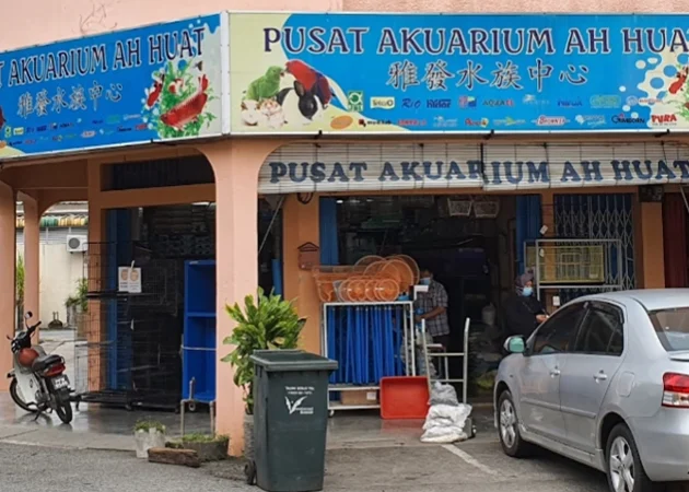 Pusat Akuarium Ah Huat 1 pusat akuarium ah huat