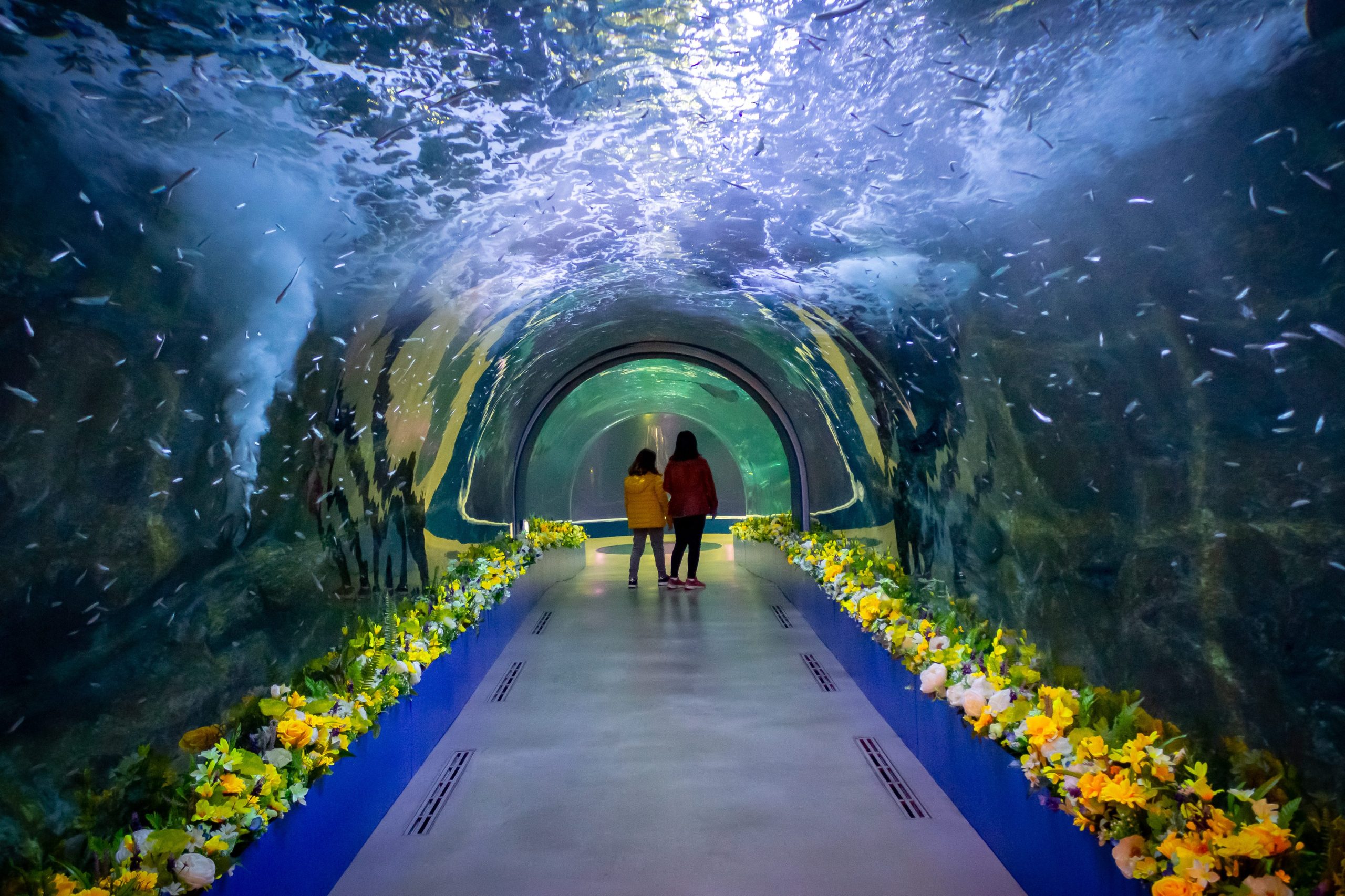 Pusat Akuarium Yih Guan 1 pusat akuarium yih guan scaled