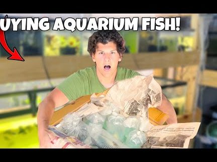 RIVERAL Aquatic Studio 1 riveral aquatic studio