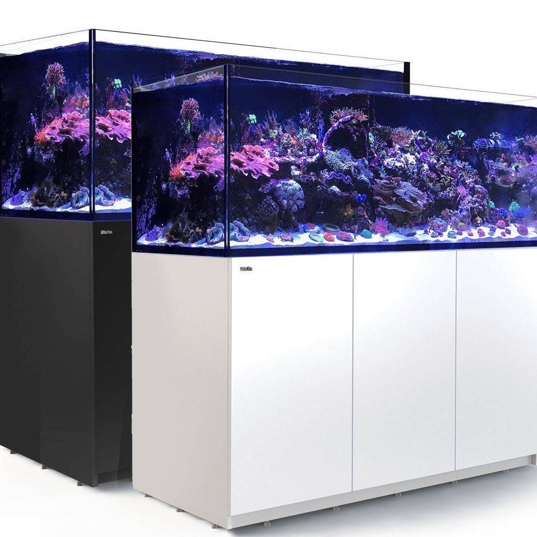 S & S Aquarium Enterprise (Jr0022340-X) 1 s s aquarium enterprise jr0022340