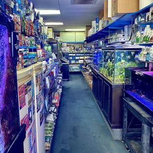 seven aquatic pets shop