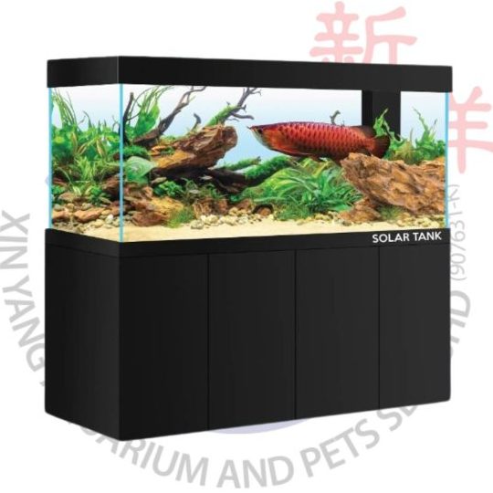 Siang Yang Aquarium 1 siang yang aquarium