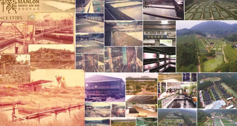 Sianlon Aquatic Sdn. Bhd. 1 sianlon aquatic sdn bhd